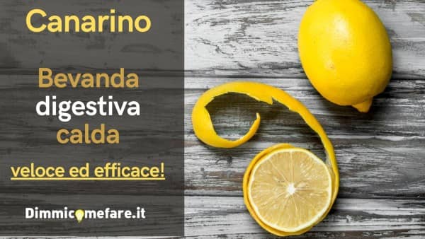 Canarino, la bevanda digestiva calda