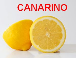 Canarino, la bevanda digestiva