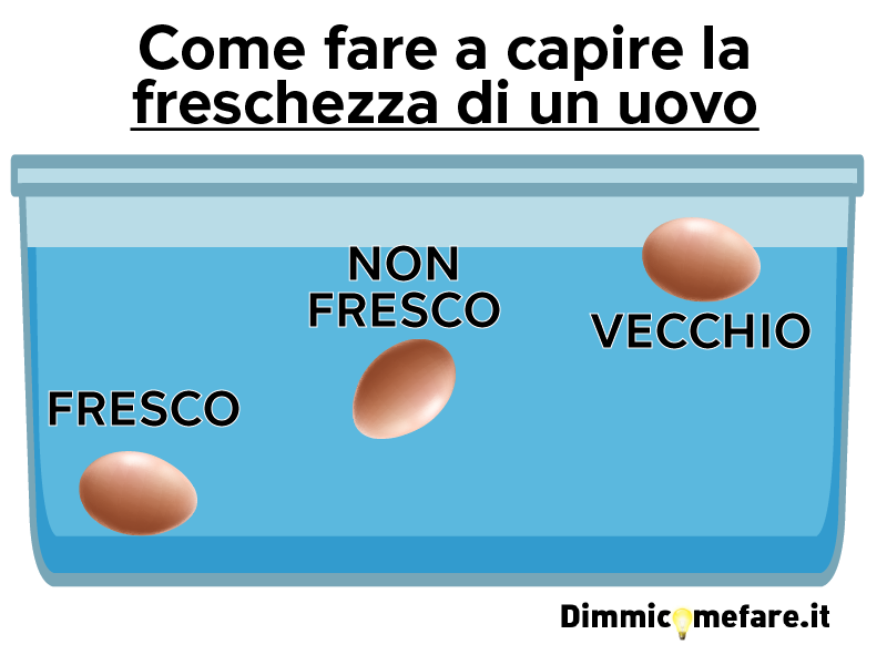 Infografica per capire la freschezza di un uovo immergendolo in acqua