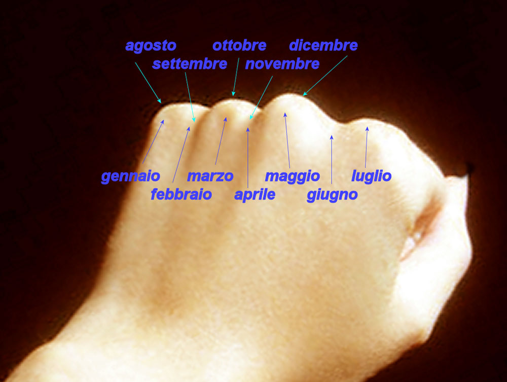 ricordare quanti giorni ha un mese guardando il pugno della propria mano