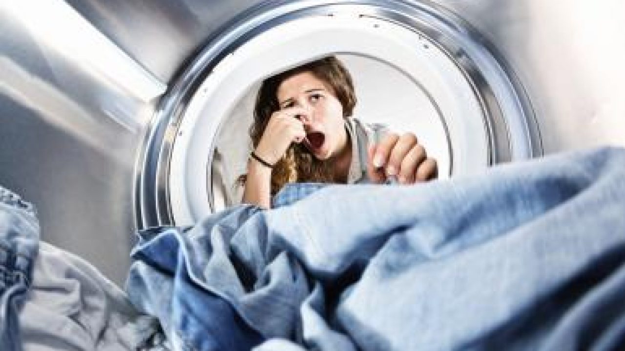 Cattivo Odore Lavatrice Come Eliminare Puzza E Sporco