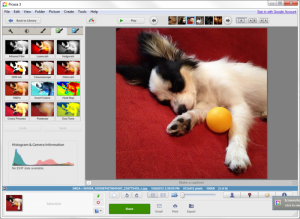 picasa-linux