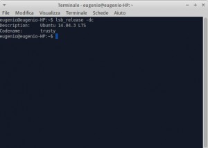 Il comando per conoscere la versione di Linux (in questo caso Ubuntu) da terminale